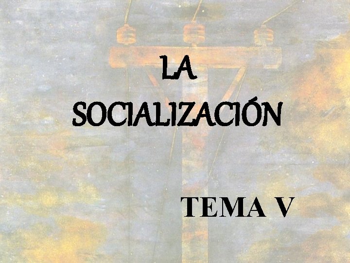 LA SOCIALIZACIÓN TEMA V 