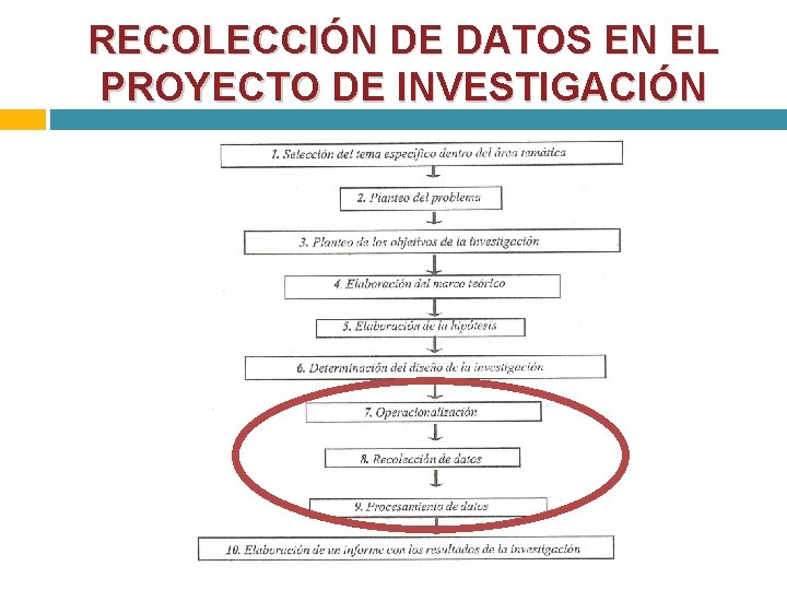 RECOLECCIÓN DE DATOS EN EL PROYECTO DE INVESTIGACIÓN 