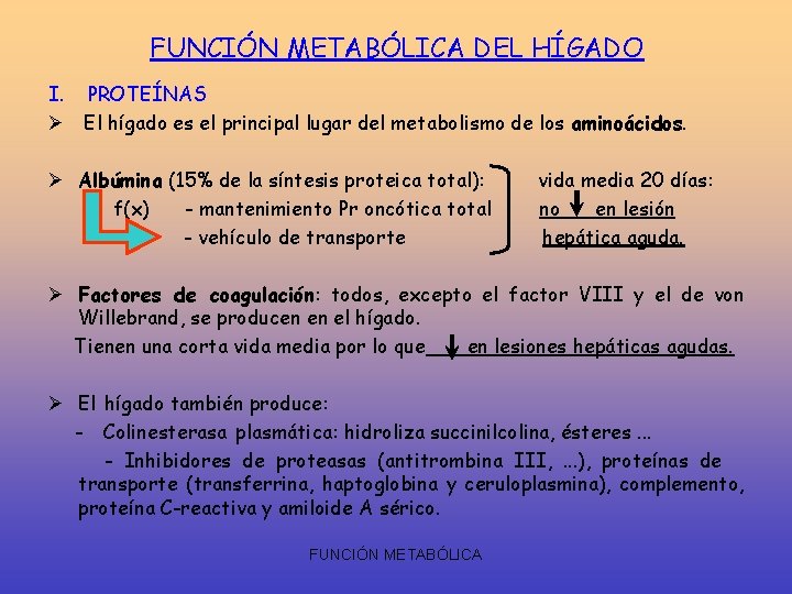 FUNCIÓN METABÓLICA DEL HÍGADO I. PROTEÍNAS Ø El hígado es el principal lugar del