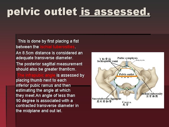 pelvic outlet is assessed. This is done by first placing a fist between the