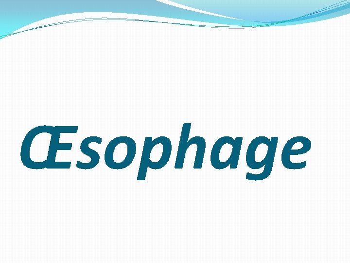 Œsophage 