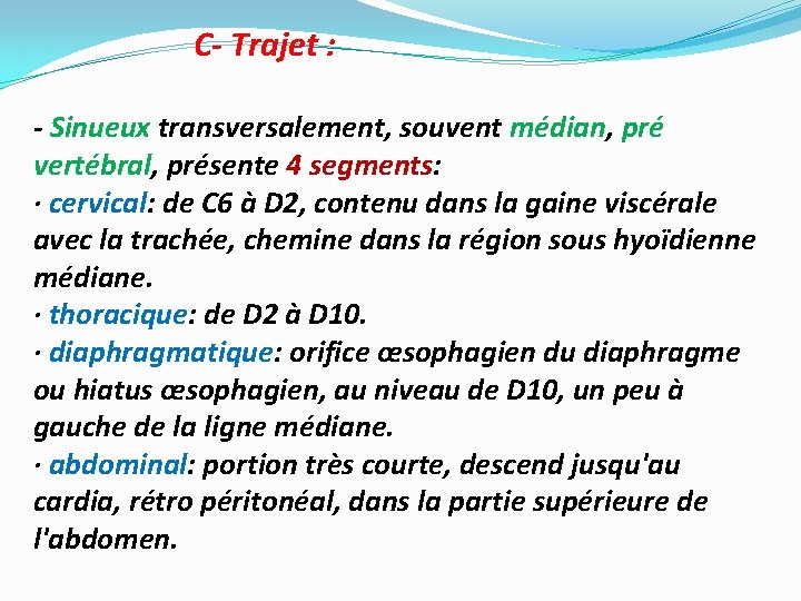 C- Trajet : - Sinueux transversalement, souvent médian, pré vertébral, présente 4 segments: ·