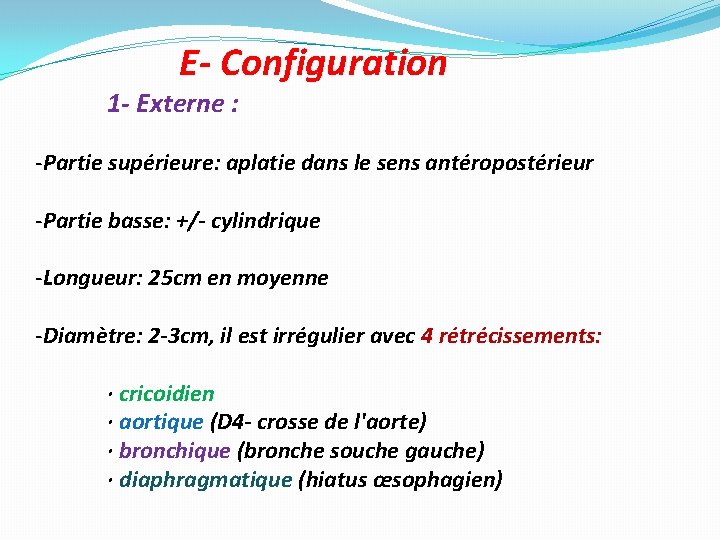 E- Configuration 1 - Externe : -Partie supérieure: aplatie dans le sens antéropostérieur -Partie