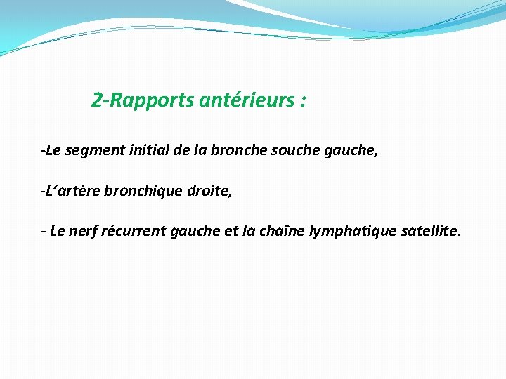 2 -Rapports antérieurs : -Le segment initial de la bronche souche gauche, -L’artère bronchique