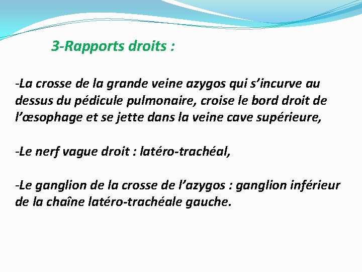 3 -Rapports droits : -La crosse de la grande veine azygos qui s’incurve au