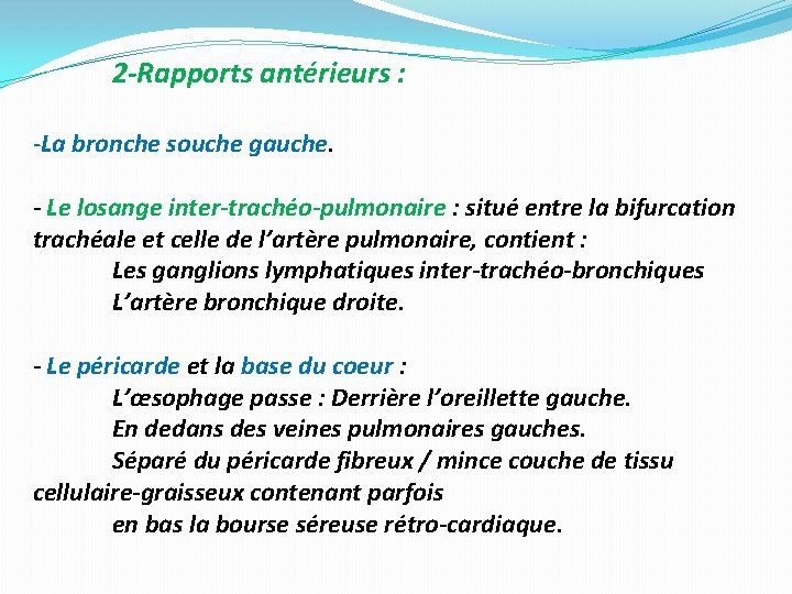 2 -Rapports antérieurs : -La bronche souche gauche. - Le losange inter-trachéo-pulmonaire : situé