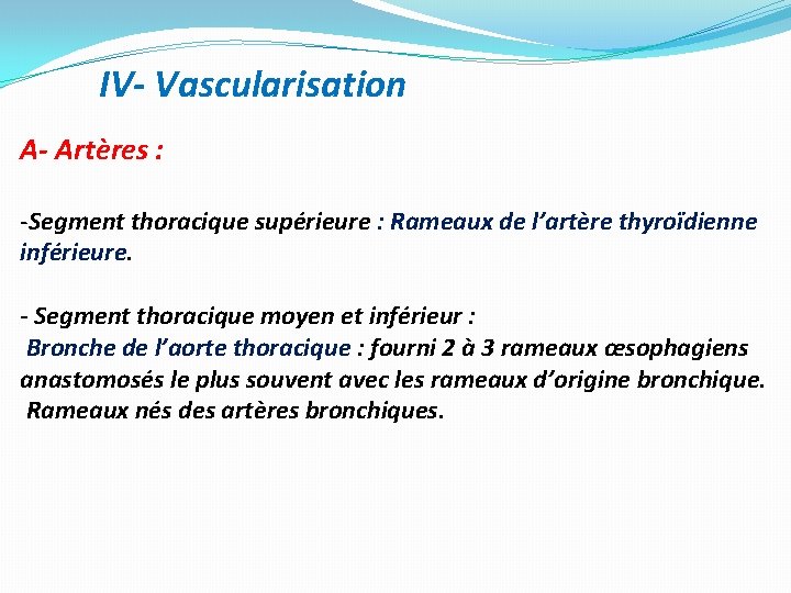 IV- Vascularisation A- Artères : -Segment thoracique supérieure : Rameaux de l’artère thyroïdienne inférieure.