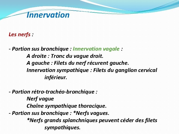 Innervation Les nerfs : - Portion sus bronchique : Innervation vagale : A droite