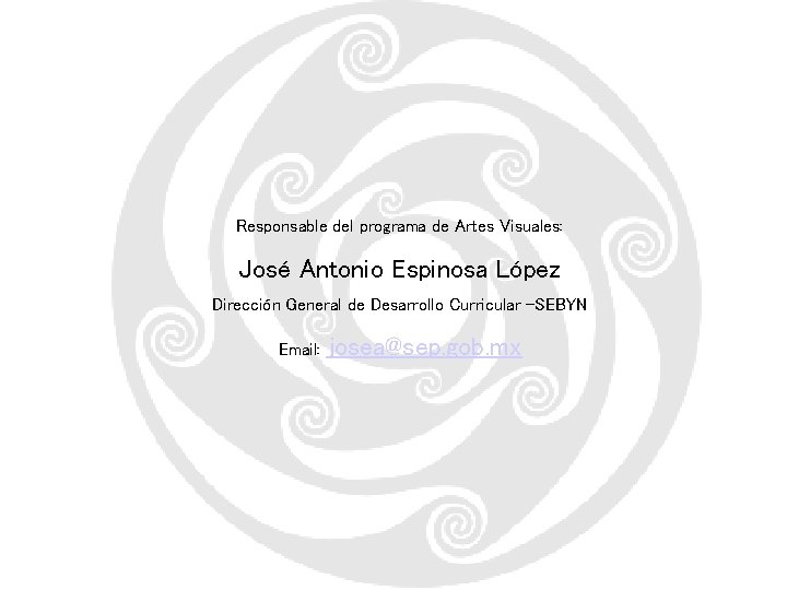 Responsable del programa de Artes Visuales: José Antonio Espinosa López Dirección General de Desarrollo
