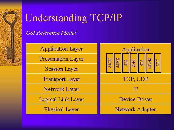 Understanding TCP/IP OSI Reference Model Application Layer NFS SNMP FTP DNS FTP SMTP Session