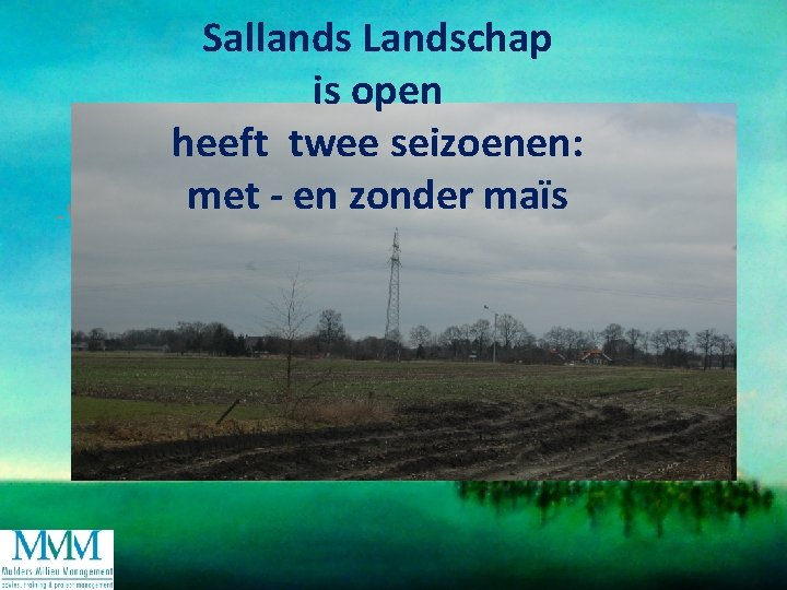 -W Sallands Landschap is open heeft twee seizoenen: met - en zonder maïs 