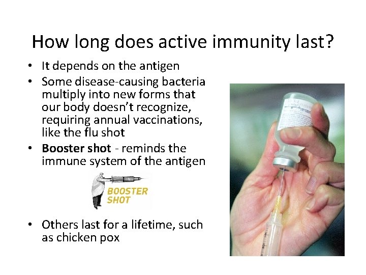 How long does active immunity last? • It depends on the antigen • Some