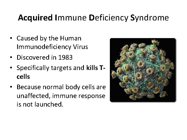 Acquired Immune Deficiency Syndrome • Caused by the Human Immunodeficiency Virus • Discovered in