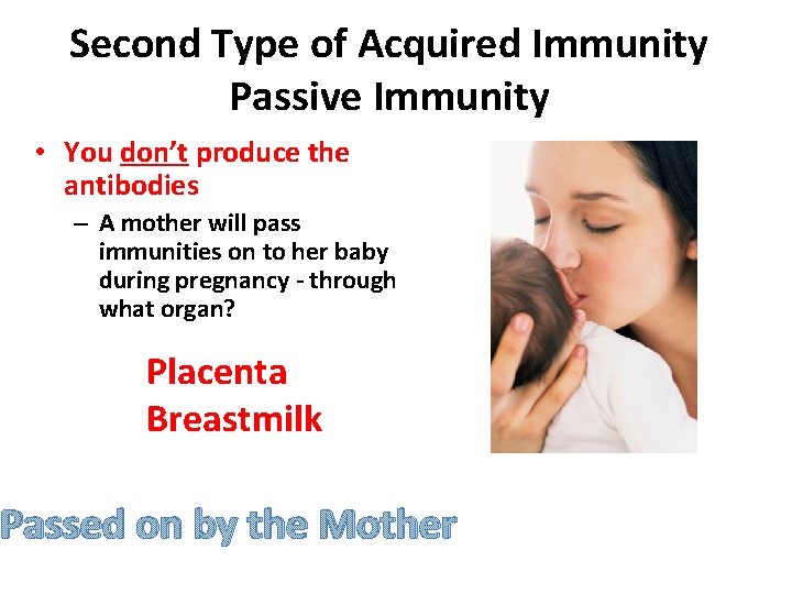 Second Type of Acquired Immunity Passive Immunity • You don’t produce the antibodies –