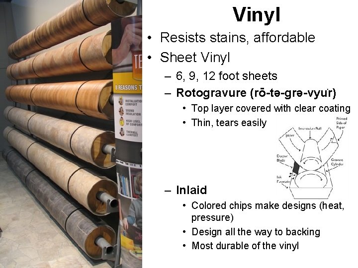 Vinyl • Resists stains, affordable • Sheet Vinyl – 6, 9, 12 foot sheets
