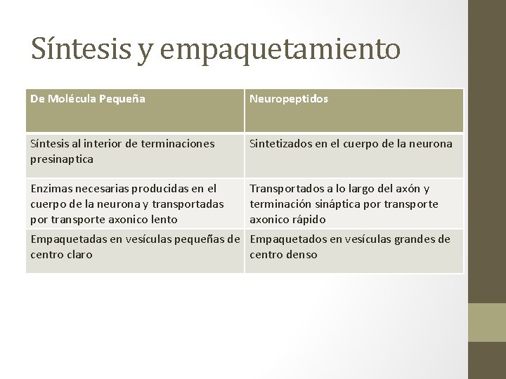 Transmisin Sinptica Capitulo 5 Resumen Sinapsis Contactos funcionales