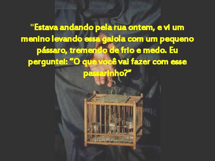 "Estava andando pela rua ontem, e vi um menino levando essa gaiola com um "Estava andando pela rua ontem, e vi um menino levando essa gaiola com um