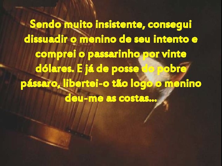 Sendo muito insistente, consegui dissuadir o menino de seu intento e comprei o passarinho Sendo muito insistente, consegui dissuadir o menino de seu intento e comprei o passarinho