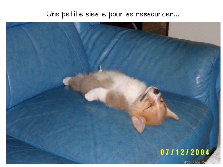 Une petite sieste pour se ressourcer. . . 