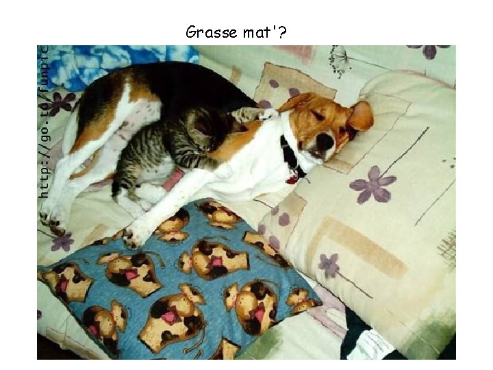 Grasse mat'? 