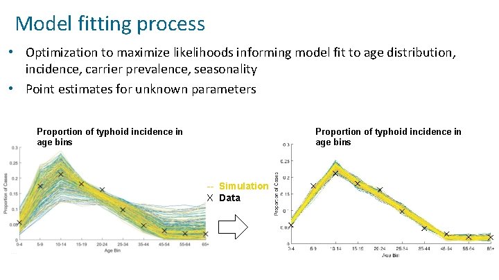 Model fitting process • Optimization to maximize likelihoods informing model fit to age distribution,