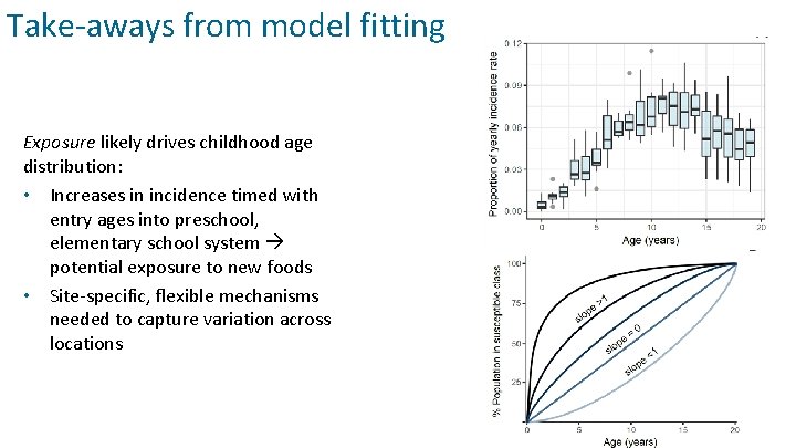 Take-aways from model fitting Exposure likely drives childhood age distribution: • Increases in incidence