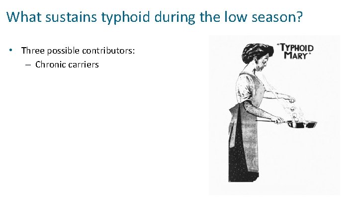 What sustains typhoid during the low season? • Three possible contributors: – Chronic carriers