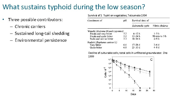What sustains typhoid during the low season? • Three possible contributors: – Chronic carriers