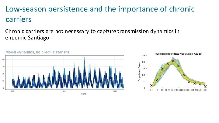 Low-season persistence and the importance of chronic carriers Chronic carriers are not necessary to