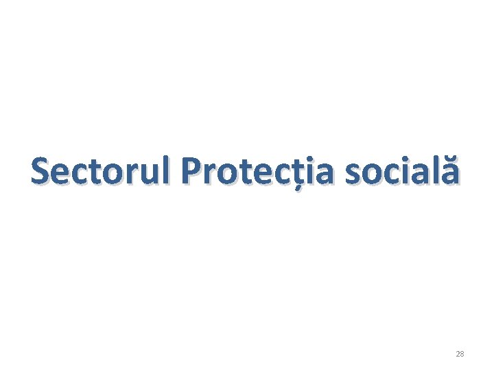 Sectorul Protecția socială 28 