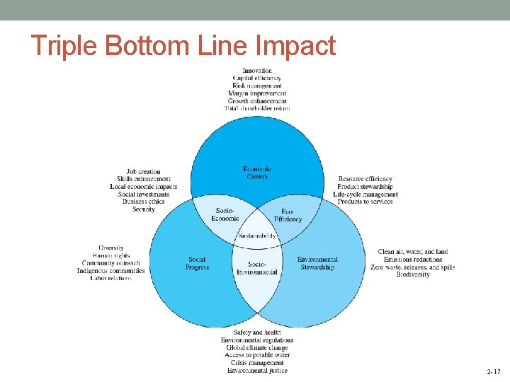 Triple Bottom Line Impact 2 -17 