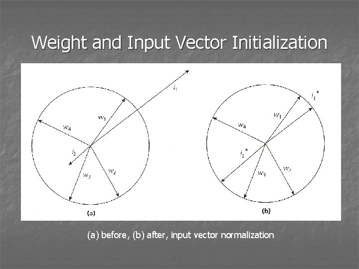 Weight and Input Vector Initialization (a) before, (b) after, input vector normalization 