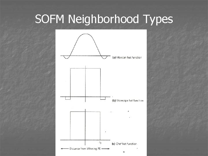 SOFM Neighborhood Types 