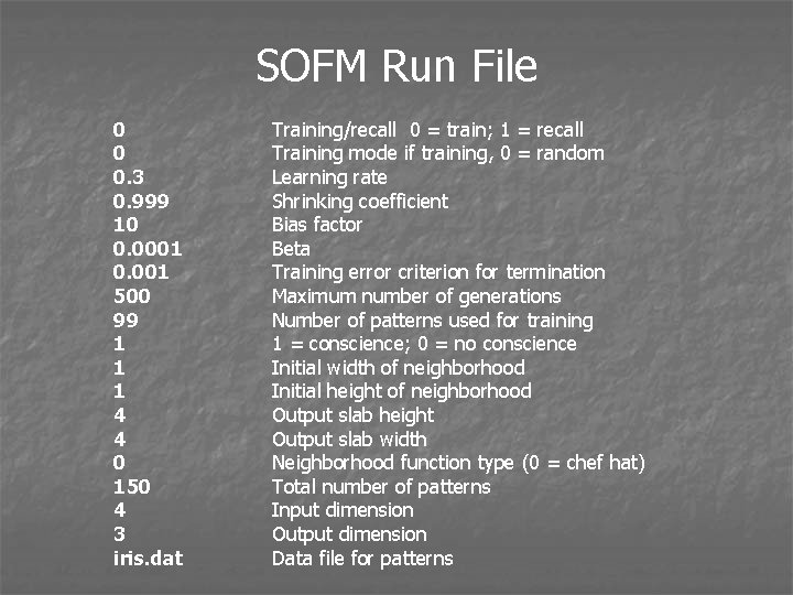 SOFM Run File 0 0 0. 3 0. 999 10 0. 0001 0. 001