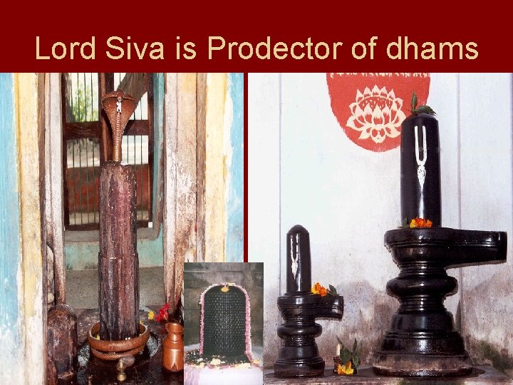 Lord Siva is Prodector of dhams 