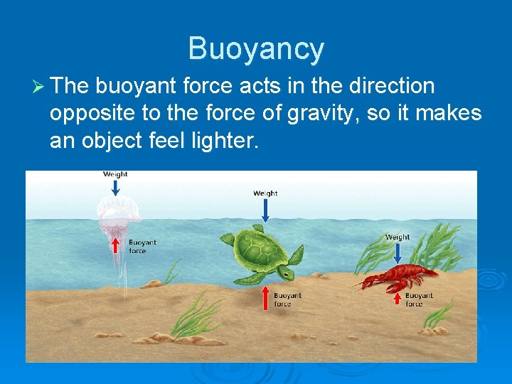 - Floating and Sinking Buoyancy Ø The buoyant force acts in the direction opposite