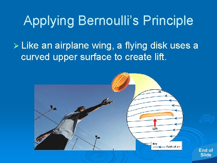 - Bernoulli’s Principle Applying Bernoulli’s Principle Ø Like an airplane wing, a flying disk