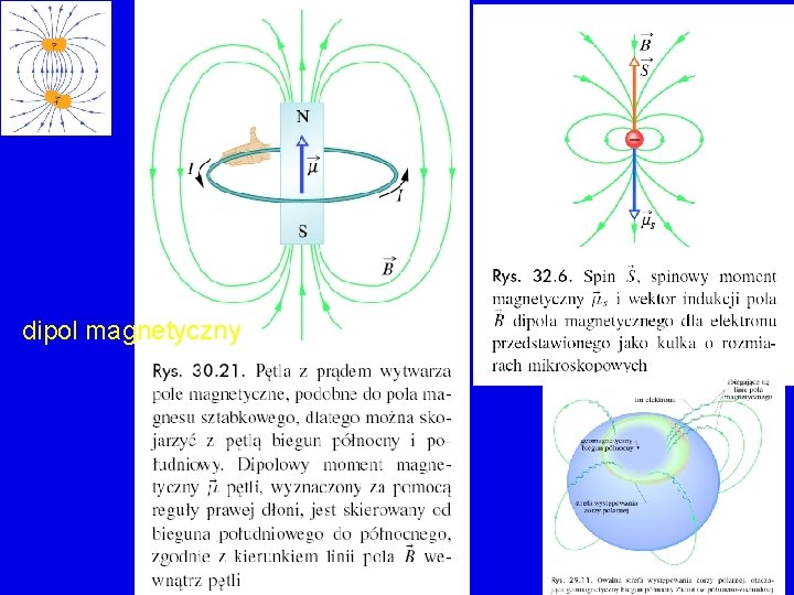 dipol magnetyczny 