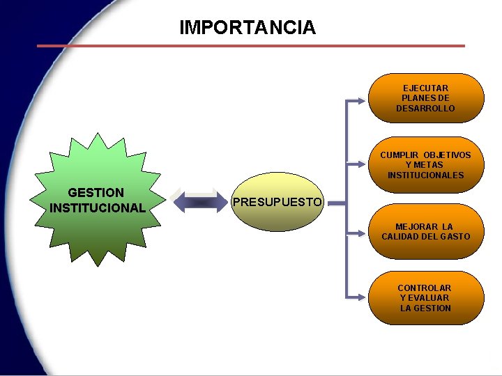 IMPORTANCIA EJECUTAR PLANES DE DESARROLLO CUMPLIR OBJETIVOS Y METAS INSTITUCIONALES GESTION INSTITUCIONAL PRESUPUESTO MEJORAR