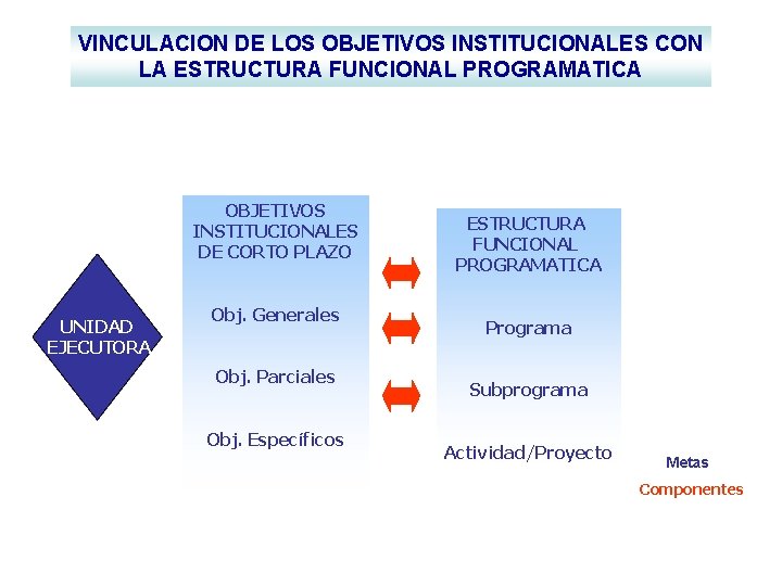VINCULACION DE LOS OBJETIVOS INSTITUCIONALES CON LA ESTRUCTURA FUNCIONAL PROGRAMATICA OBJETIVOS INSTITUCIONALES DE CORTO