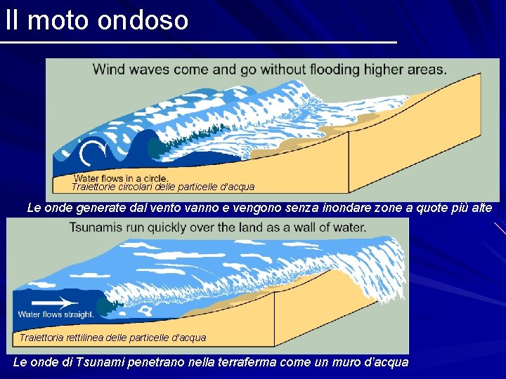 Il moto ondoso Traiettorie circolari delle particelle d’acqua Le onde generate dal vento vanno