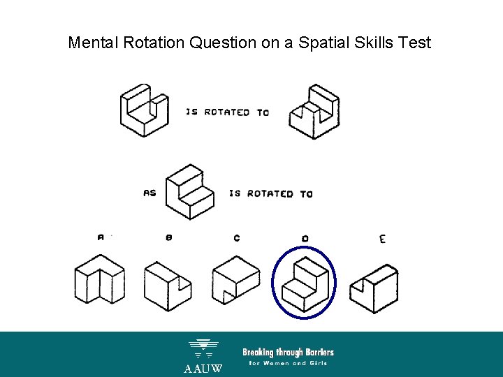 Mental Rotation Question on a Spatial Skills Test 