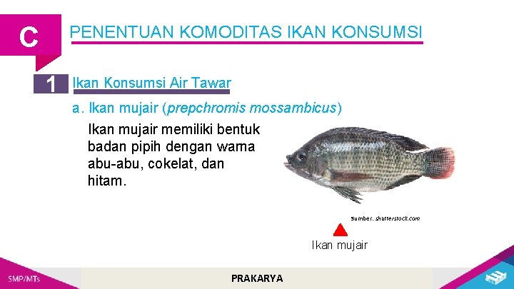 C PENENTUAN KOMODITAS IKAN KONSUMSI 1 Ikan Konsumsi Air Tawar a. Ikan mujair (prepchromis