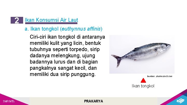 2 Ikan Konsumsi Air Laut a. Ikan tongkol (euthynnus affinis) Ciri-ciri ikan tongkol di