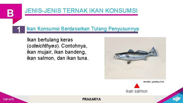 JENIS-JENIS TERNAK IKAN KONSUMSI B 1 Ikan Konsumsi Berdasarkan Tulang Penyusunnya Ikan bertulang keras
