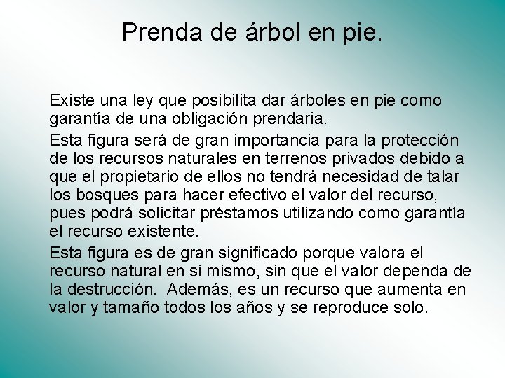 Prenda de árbol en pie. Existe una ley que posibilita dar árboles en pie