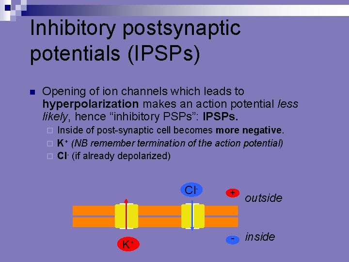 Inhibitory postsynaptic potentials (IPSPs) Opening of ion channels which leads to hyperpolarization makes an