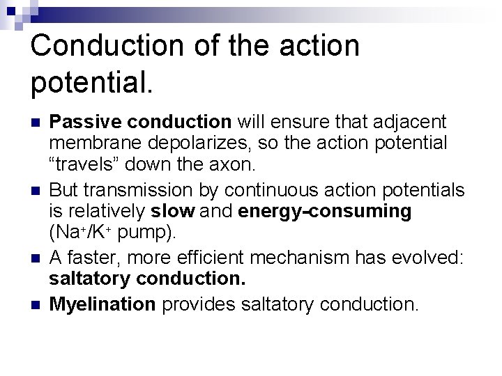 Conduction of the action potential. n n Passive conduction will ensure that adjacent membrane