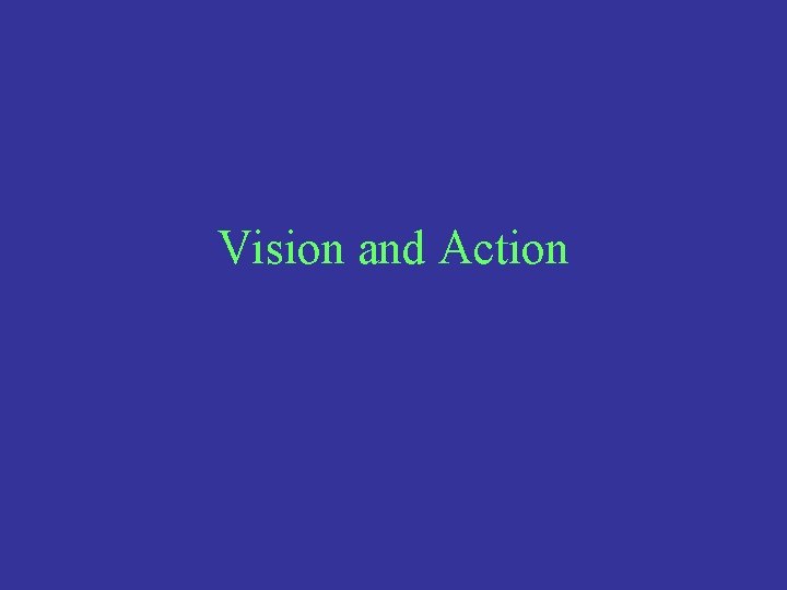 Vision and Action 
