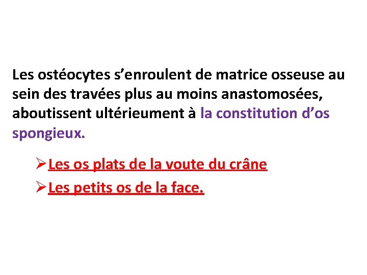 Les ostéocytes s’enroulent de matrice osseuse au sein des travées plus au moins anastomosées,